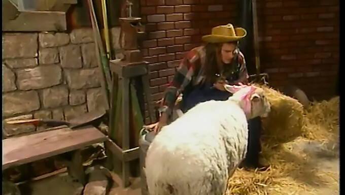 Lola Martin nyder anal og cowgirl på en stor pik i en lade