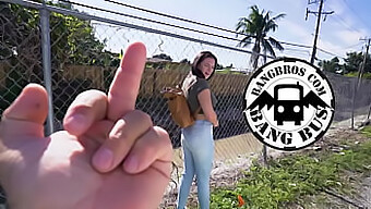 Compilation Of Bang Bus'S Hottest Moments Featuring Big Asses And Public Outdoor Fucking