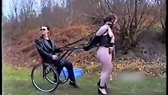 Bdsm Training For Ponygirls In High-Definition Video