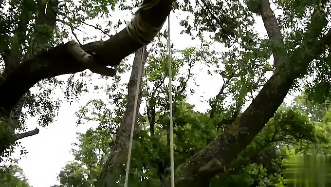 Outdoor-Spaß der Freunde mit großen natürlichen Brüsten