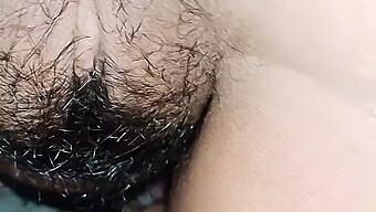 Toying With A Furry Asian Cock On Webcam