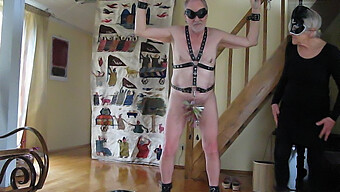 Cbt And Bdsm Moves On Clothpins And Whips For A Housewife