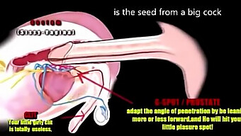 Une grosse bite noire pénètre un trou du cul serré dans une vidéo HD