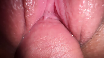 Arousing Encounter With My Brother'S Spouse, Intimate Intercourse With A Detailed View And Ejaculation On Her Creamy Vagina